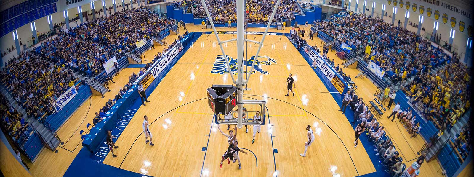 UC San Diego basketball game