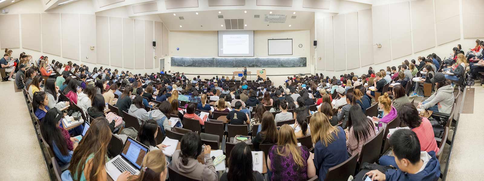 Undergraduates in class